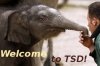 a welcome tsd.jpg