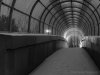 Snowy Walkway.jpg