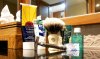 sotd-28-jan.jpg