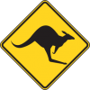 WELCOME KANGA.png