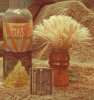 BeFunky_VintageColors_2.jpg.jpg
