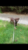 Screenshot_2013-05-11-09-14-32.png