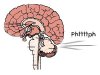 brainfart1.jpg