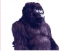 gorrila.png