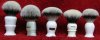 Brushes.jpg