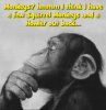 ThinkingMonkey.jpg