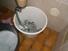 oldfaucet.jpg