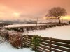 2007_0209Image0145a.JPG