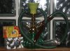 shisha.jpg