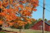 fall9.jpg