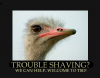 WELCOME BIRD1a.png
