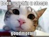 lolcat_scahdenfreude.jpg