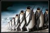 PENGUIN ARMY2.jpg