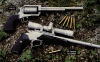 Magnum-Research-45-70.gif