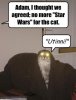 CATStar.jpg