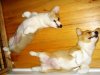 Copya of DSC01179.jpg