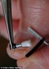 tiny-straight-razor.jpg