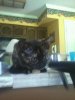 uploadfromtaptalk1390179461284.jpg