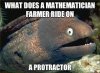 punny.jpg
