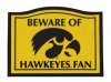 hawkeyes.jpg
