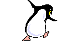 penguindance.gif