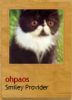 3Capture.PNG