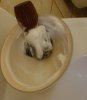 DSC03057.JPG