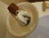 DSC03059.JPG