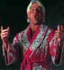 ricflair_2.jpg