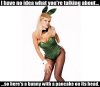 bunny 2.jpg
