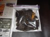 DSC00858.jpg