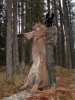 Cougar Hunt -- December 2, 2004 056.jpg