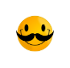 SMILESTACHEsmall.png
