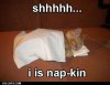 catsdotcomnapkin.jpg