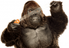 Gorilla tape.png