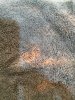 ImageUploadedByTapatalk1404238447.931945.jpg