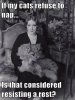 CATPUN.jpeg