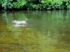 IMG_0182-001.JPG