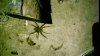 0645c5e1-5d56-437a-8854-ab1b7850be51_TapatalkEditedImage.jpg