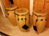 Congas (800x600).jpg