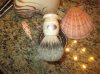 German Brush 001.JPG