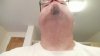 Neck 1 (640x360).jpg