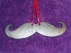 mustache.JPG