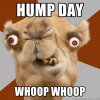 humpday.jpg