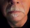 stache_midDec.jpg