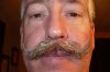 stache 7 (Medium).JPG