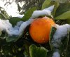 IMG_1045.jpg