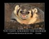 angrybadger.jpg