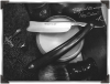 shave_bw.png