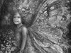 fairie.jpg